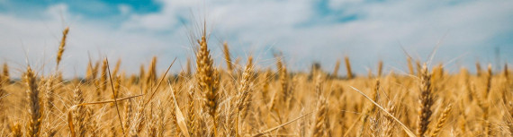 Чи варто скористатися послугами банків, щоб відправити гроші з Польщі в Україну?